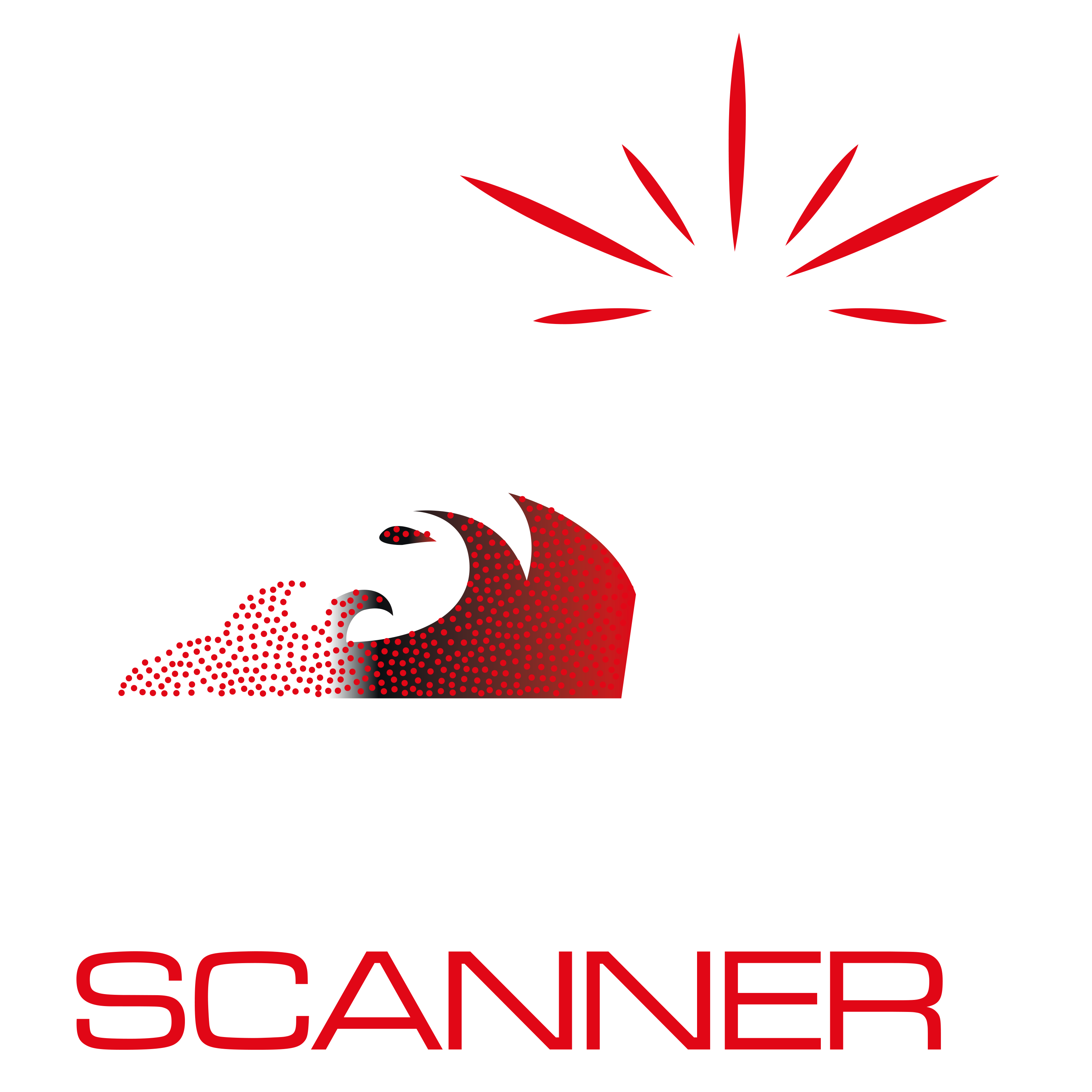Küstenscanner